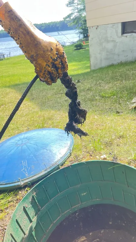 Roots pulled from a lakeside sewer line by a Precise Drain Cleaning cable machine